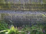 image of grave number 786922